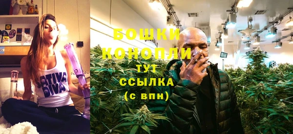 spice Абаза