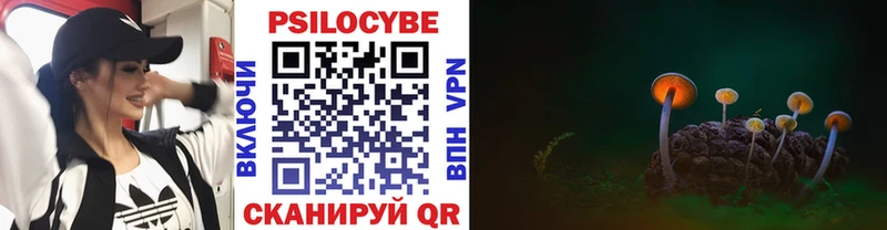 где продают   Александров  Псилоцибиновые грибы мухоморы 