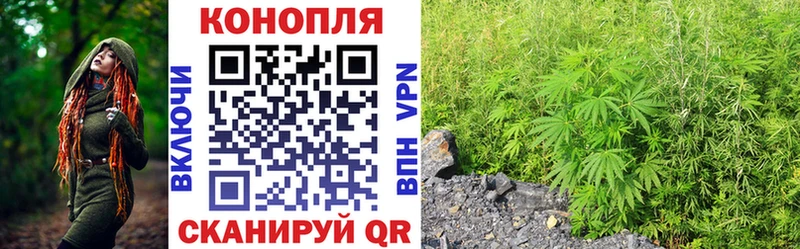 Бошки Шишки VHQ  купить наркотик  Александров 